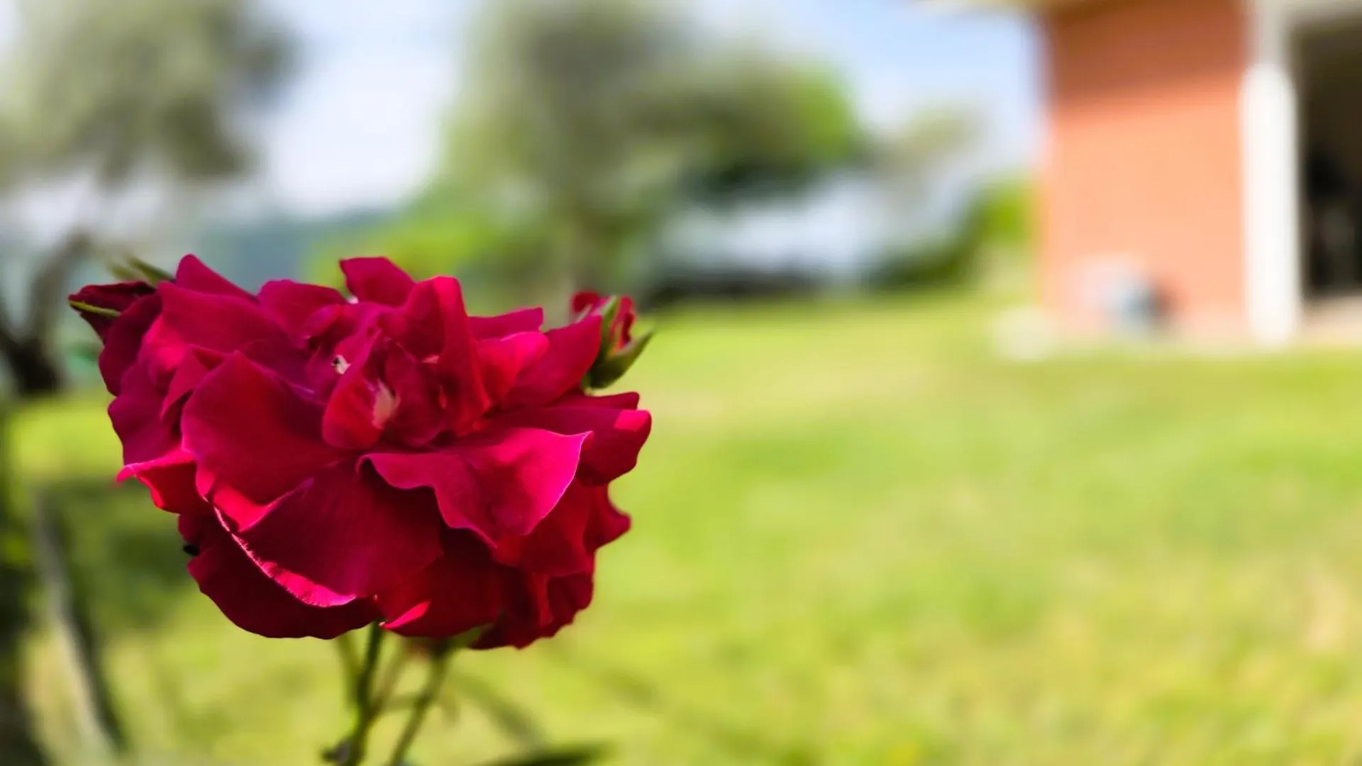 *** Aparthotel Relais Villa Olivi Costermano Italy